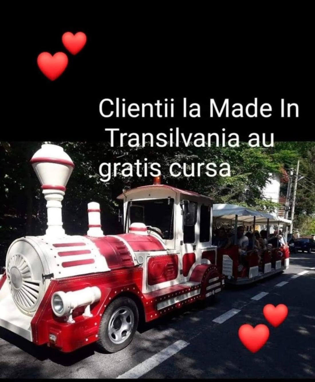 Made In Transilvania Сігішоара Екстер'єр фото